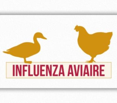 Prévention de l'influenza aviaire - élévation du niveau de risque