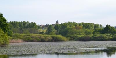 Etang de Pierrepoulain