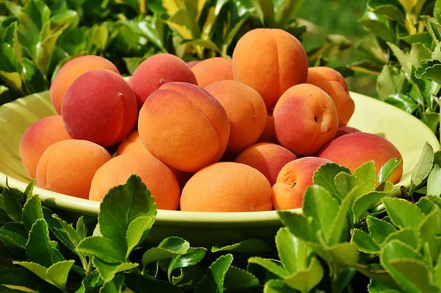 Abricots par RitaE de Pixabay 